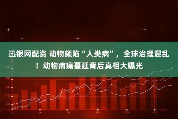 迅银网配资 动物频陷“人类病”，全球治理混乱！动物病痛蔓延背后真相大曝光