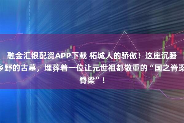 融金汇银配资APP下载 柘城人的骄傲！这座沉睡在乡野的古墓，埋葬着一位让元世祖都敬重的“国之脊梁”！